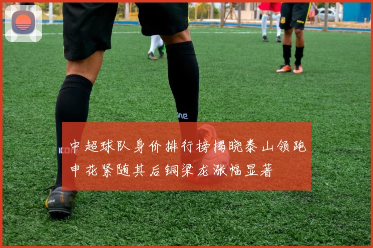 中超球队身价排行榜揭晓泰山领跑申花紧随其后铜梁龙涨幅显著