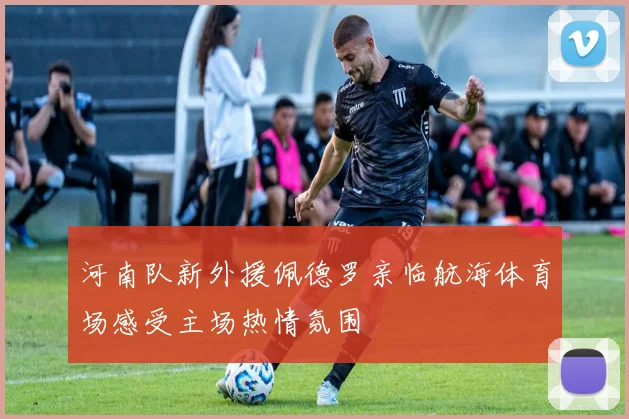 河南队新外援佩德罗亲临航海体育场感受主场热情氛围